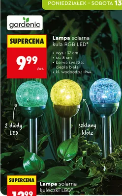 Lampa solarna kula RGB LED promocja w Biedronka