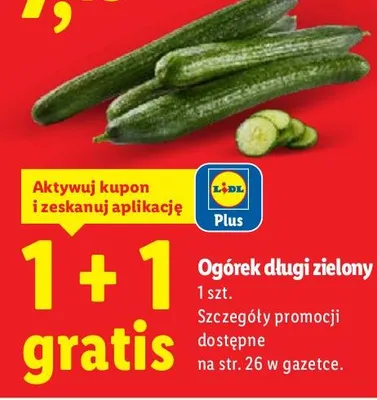 Ogórek długi zielony promocja w Lidl