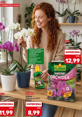 Osłonka ceramiczna Escalera do storczyków różne kolory promocja w Kaufland