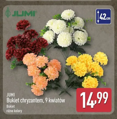 Bukiet chryzantem 9 kwiatów Jumi promocja w Aldi