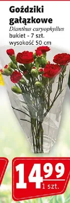 Goździki gałązkowe promocja w Prim Market