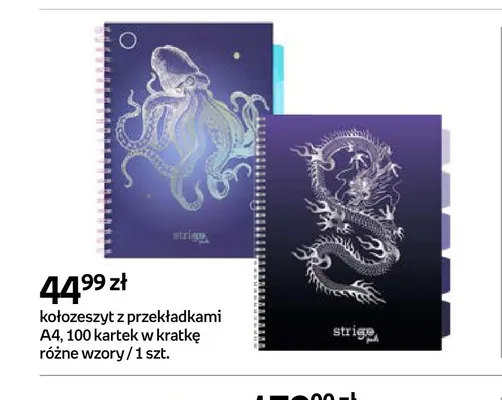 Kołozeszyt z przekładkami A4 100 kartek w kratkę Strigo promocja w Empik