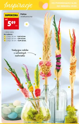 Palma wielkanocna o wys. 35 cm promocja w Biedronka