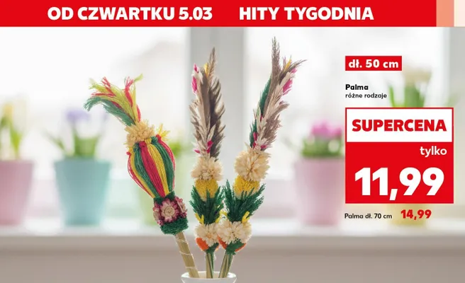Palma różne rodzaje promocja w Kaufland