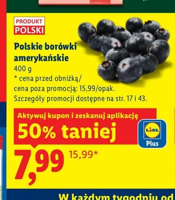 Borówki amerykańskie polskie promocja w Lidl