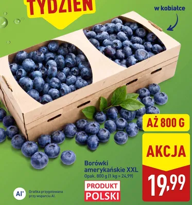 Borówki amerykańskie XXL polskie promocja w Aldi