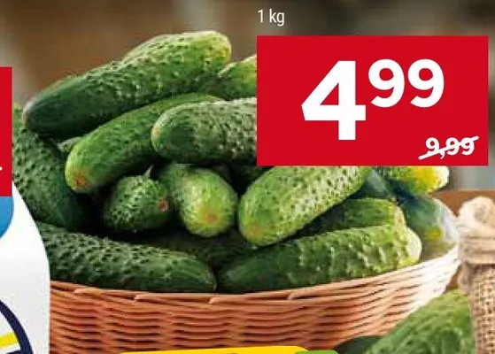 Ogórki gruntowe promocja w Stokrotka