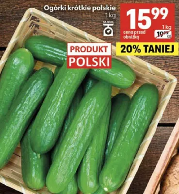 Ogórki krótkie polskie promocja w Delikatesy Centrum