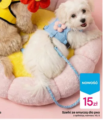 Szelki ze smyczą dla psa z aplikacją promocja w Pepco