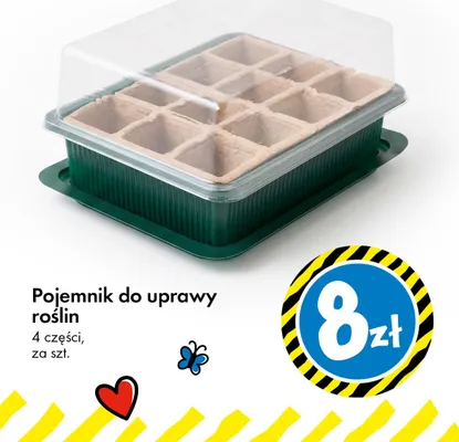 Pojemnik do uprawy roślin promocja w Tedi