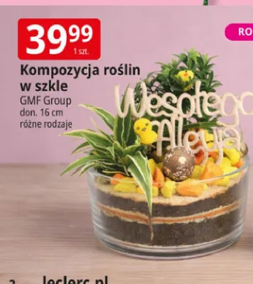 Kompozycja roślin w szkle GMF Group promocja w Leclerc