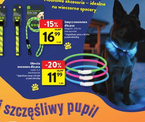 Smycz neonowa dla psa promocja w Intermarche