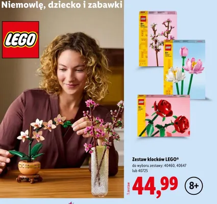Zestaw klocków LEGO 40647 promocja w Lidl