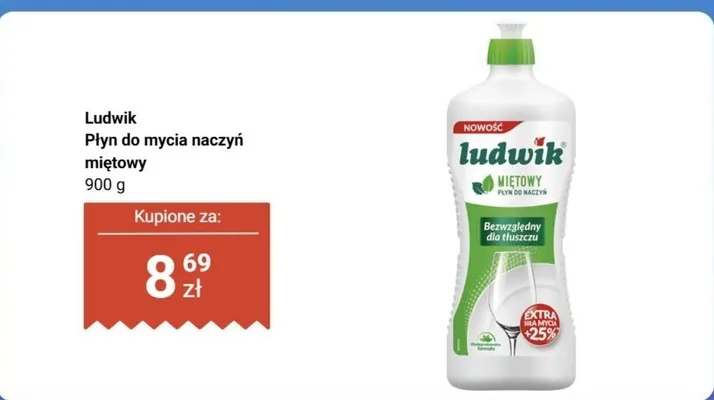 Płyn do mycia naczyń miętowy promocja w Biedronka