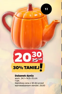 Dzbanek dynia 1 l Netto promocja w Netto
