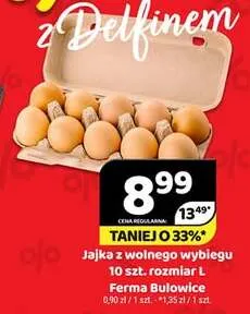 Jajka kurze z wolnego wybiegu rozmiar L Ferma Bulowice promocja w Delfin