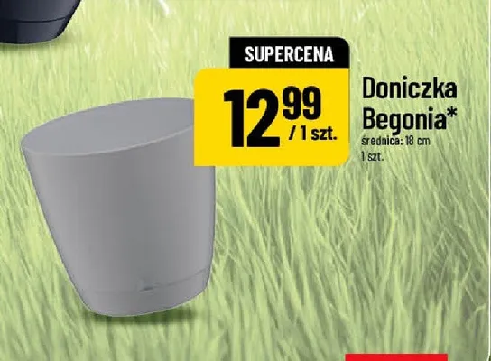 Doniczka Begonia 18 cm promocja w POLOmarket