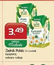 Herbata ziołowa Zielnik Polski Mięta Herbapol promocja w MALINKA