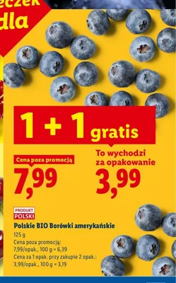 Borówki amerykańskie BIO polskie promocja w Lidl