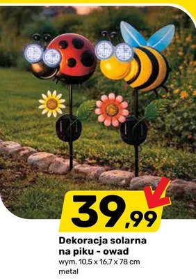 Dekoracja solarna na piku - owad promocja w Bricomarche