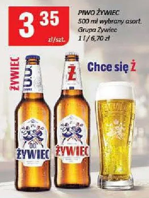 Piwo Żywiec promocja w Chorten