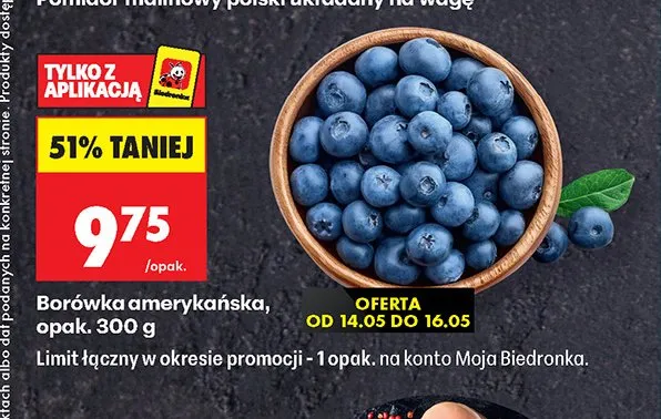 Borówka amerykańska promocja w Biedronka