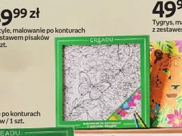 Motyle malowanie po konturach z zestawem pisaków CREADU promocja w Empik