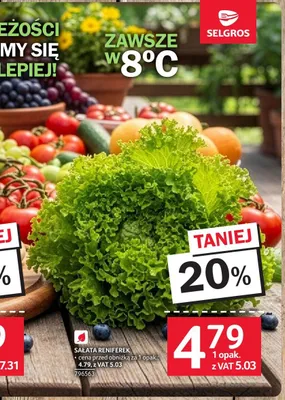Sałata reniferek promocja w Selgros
