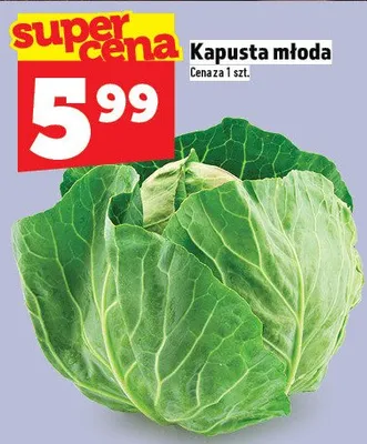 Kapusta młoda promocja w TOPAZ