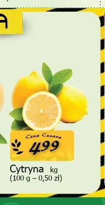 Cytryny promocja w CEZAR Delikatesy