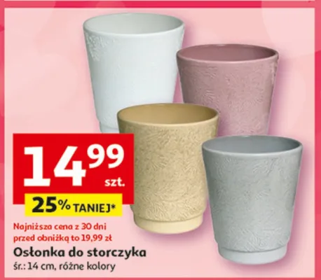 Osłonka do storczyka promocja w Auchan