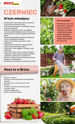 Katalog ogród, strona 126 promocja w Bricomarche