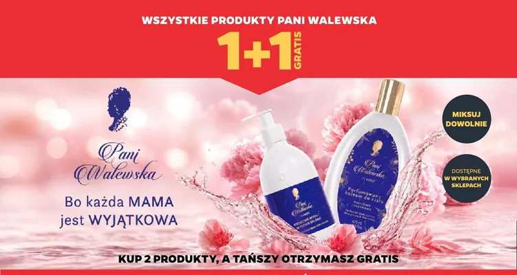 Produkty Pani Walewska promocja w Netto