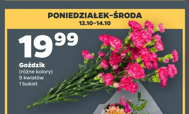 Goździki 9 kwiatów promocja w Netto