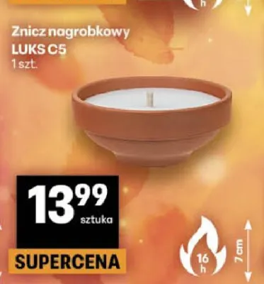 Znicz nagrobkowy Luks C5 promocja w Delikatesy Centrum
