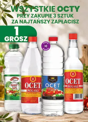 Octy promocja w Dino