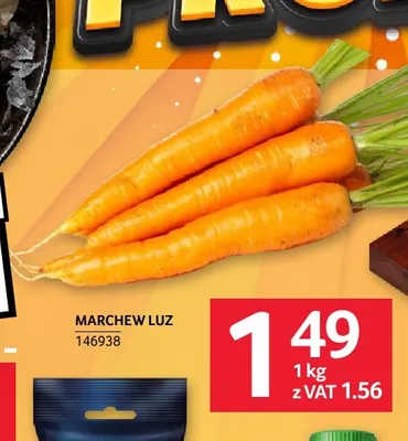 Marchew luz promocja w Selgros