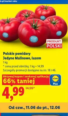 Pomidory polskie Jedyne Malinowe luzem promocja w Lidl
