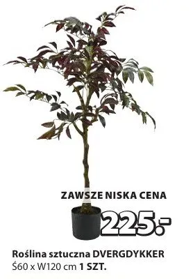 Roślina sztuczna promocja w Jysk