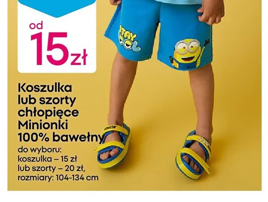 Szorty chłopięce Minions promocja w Pepco
