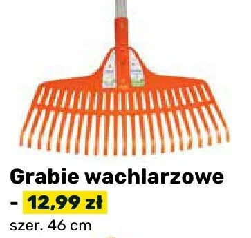 Grabie wachlarzowe promocja w Bricomarche