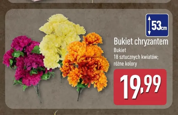 Bukiet chryzantem promocja w Aldi