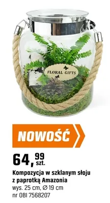 Kompozycja w szklanym słoju z paprotką Amazonia promocja w OBI