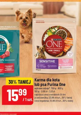 Karma dla kota Purina One Bifensis Sterilcat promocja w POLOmarket