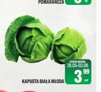 Kapusta biała młoda promocja w Tomi Markt