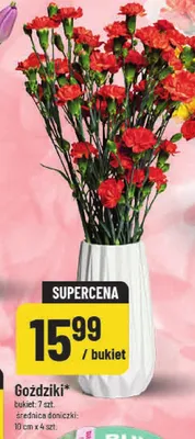 Goździki promocja w POLOmarket