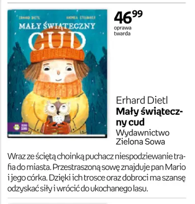 Książka Mały świąteczny cud Zielona Sowa promocja w Empik