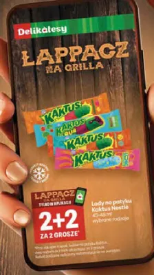 Lody na patyku Kaktus Nestlé 45-48ml promocja w Delikatesy Centrum