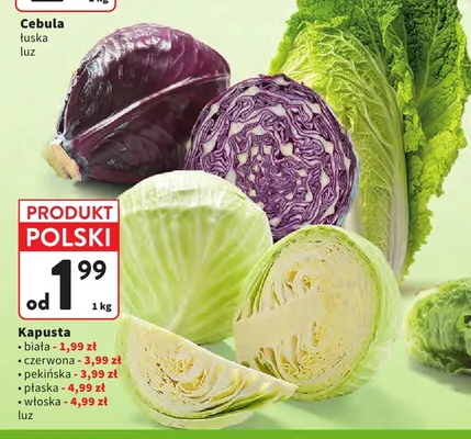 Kapusta płaska luz polska promocja w Intermarche