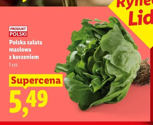 Polska sałata masłowa z korzeniem promocja w Lidl